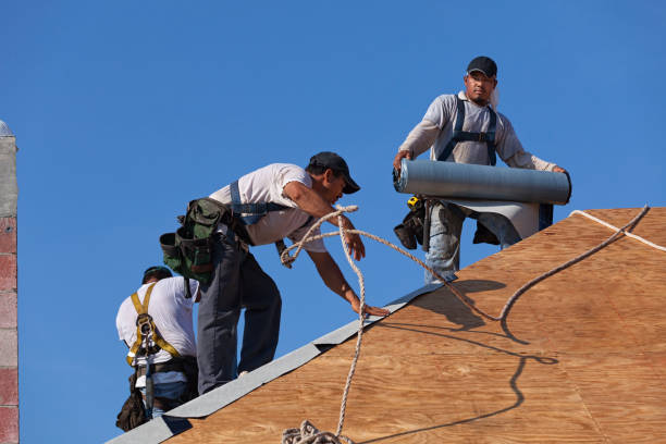 Best Roof Gutter Cleaning  in Triangle, VA